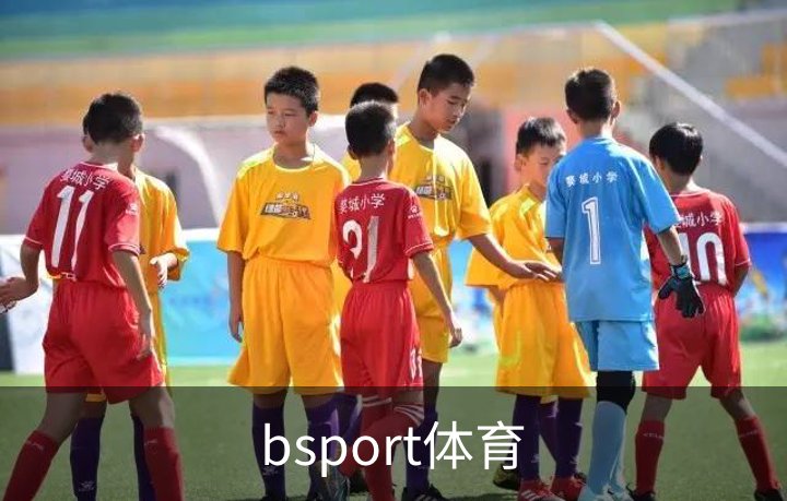 关于bsport体育